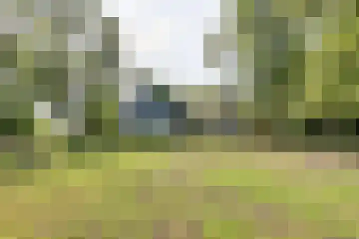 Nieuw Rockanjesedijk 1 c Rockanje thumbnail 4