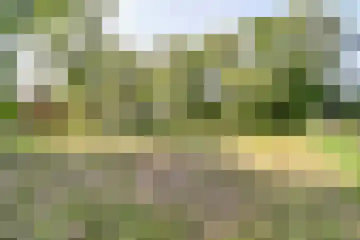 Nieuw Rockanjesedijk 1 c Rockanje thumbnail 5