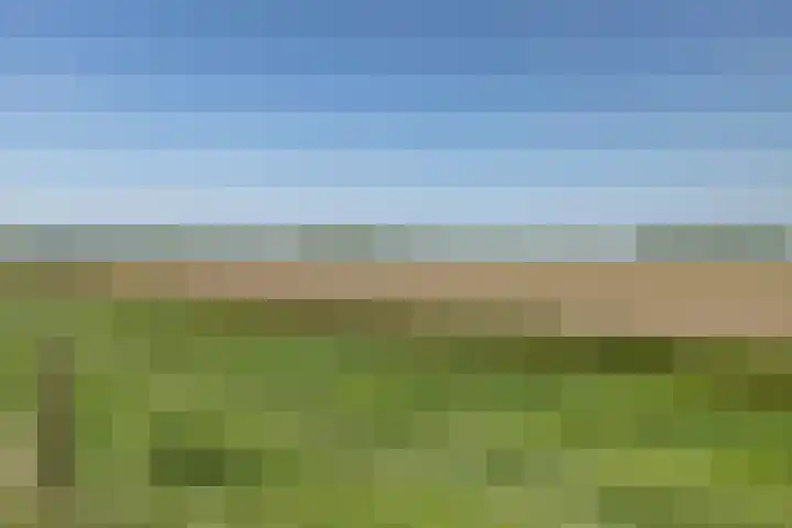 Nieuw Rockanjesedijk 1 c Rockanje thumbnail 6