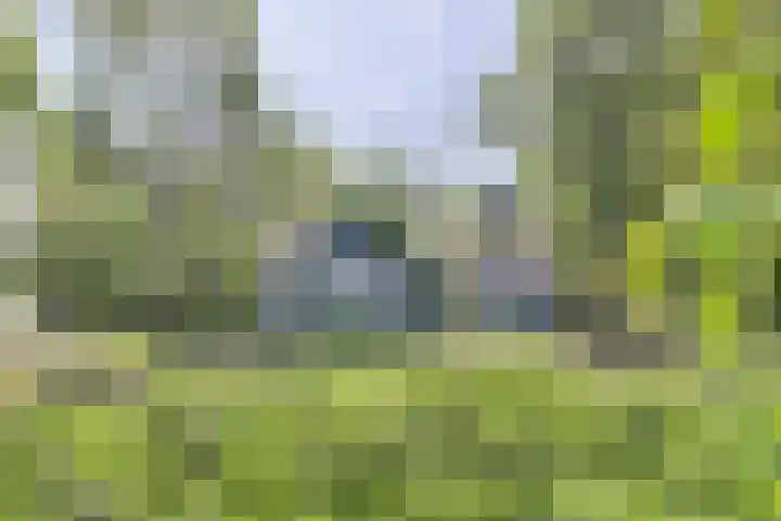 Nieuw Rockanjesedijk 1 c Rockanje thumbnail 7