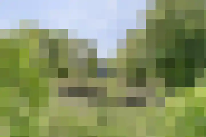 Nieuw Rockanjesedijk 1 c Rockanje thumbnail 8