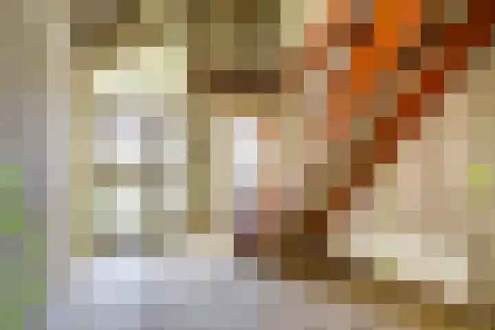 Nieuw Rockanjesedijk 1 c Rockanje thumbnail 9