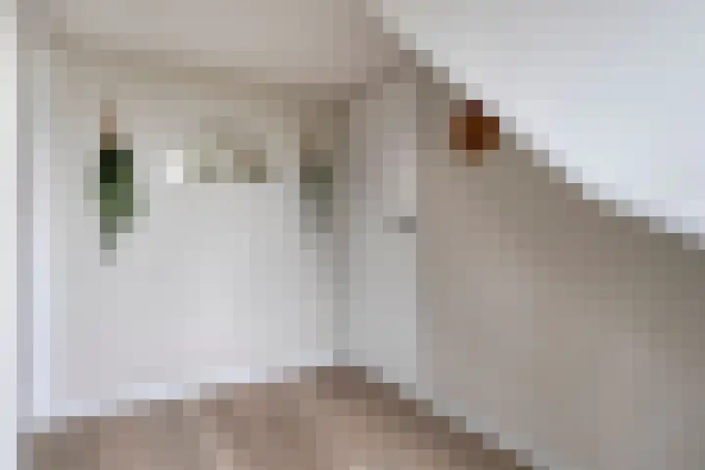 Nieuw Rockanjesedijk 6 Rockanje thumbnail 22