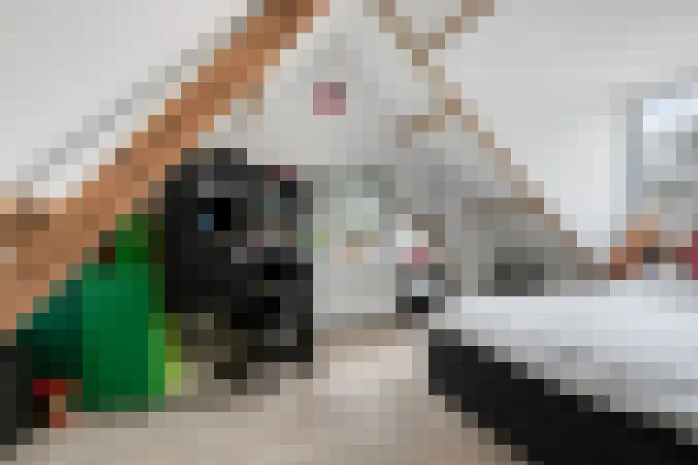 Nieuw Rockanjesedijk 6 Rockanje thumbnail 25