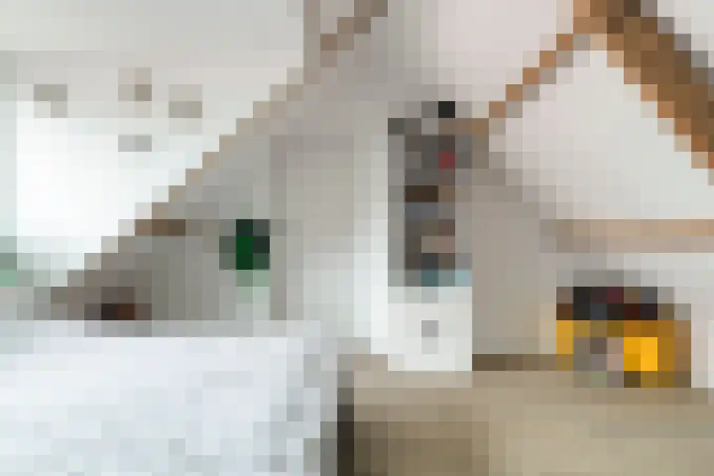 Nieuw Rockanjesedijk 6 Rockanje thumbnail 26