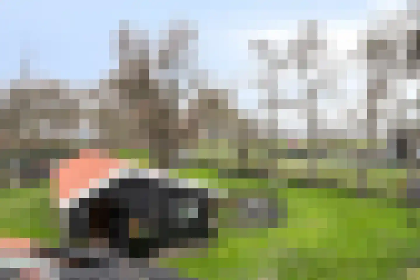 Nieuw Rockanjesedijk 6 Rockanje thumbnail 29