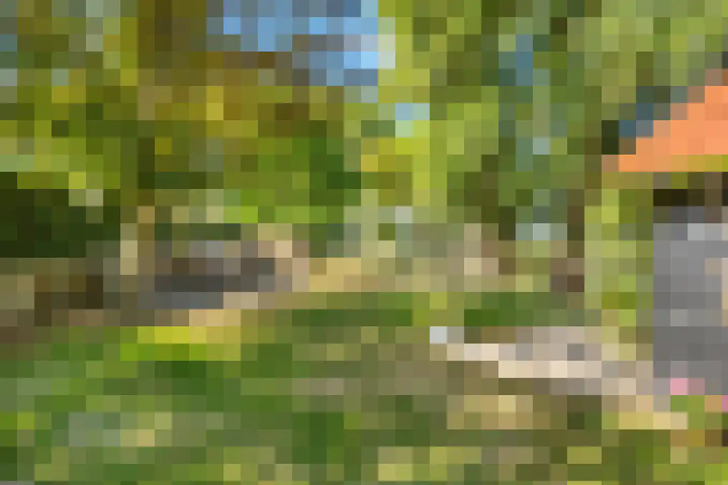 Nieuw Rockanjesedijk 6 Rockanje thumbnail 36