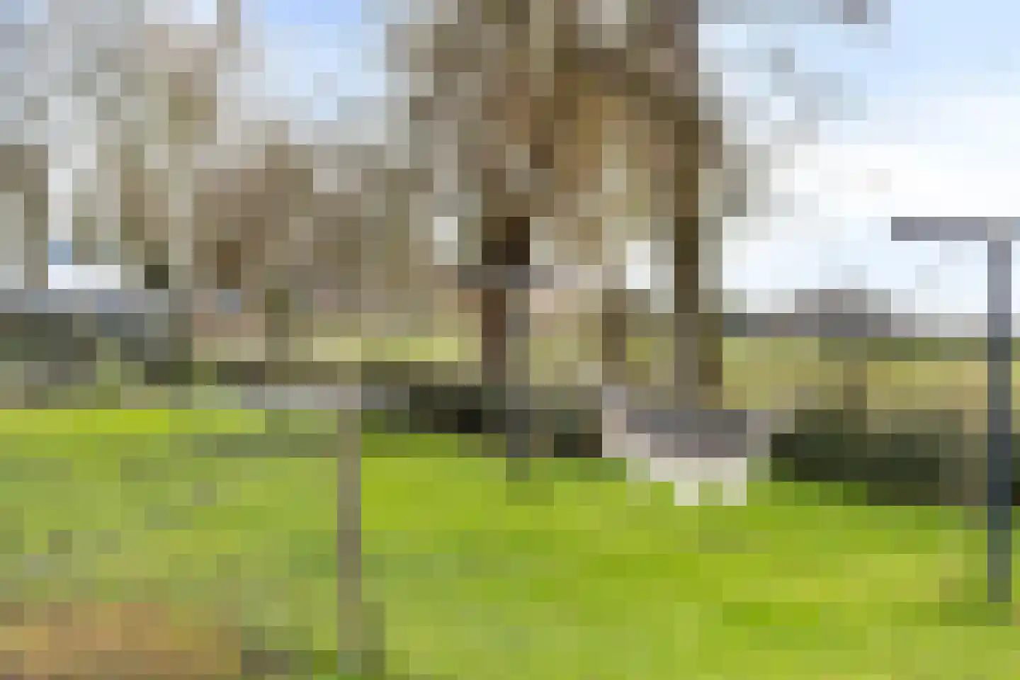 Nieuw Rockanjesedijk 6 Rockanje thumbnail 36