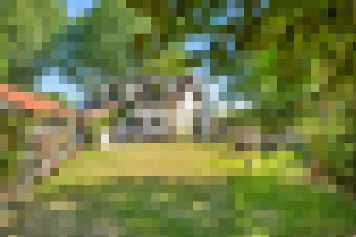 Nieuw Rockanjesedijk 6 Rockanje thumbnail 37