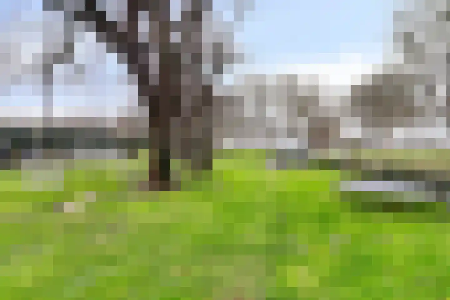 Nieuw Rockanjesedijk 6 Rockanje thumbnail 38