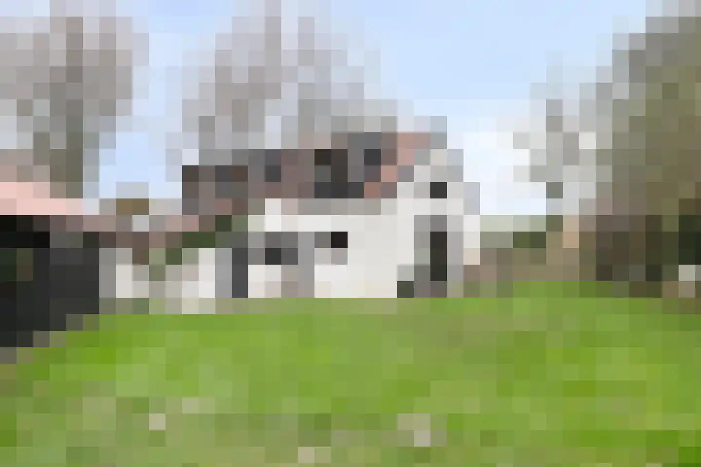 Nieuw Rockanjesedijk 6 Rockanje thumbnail 4