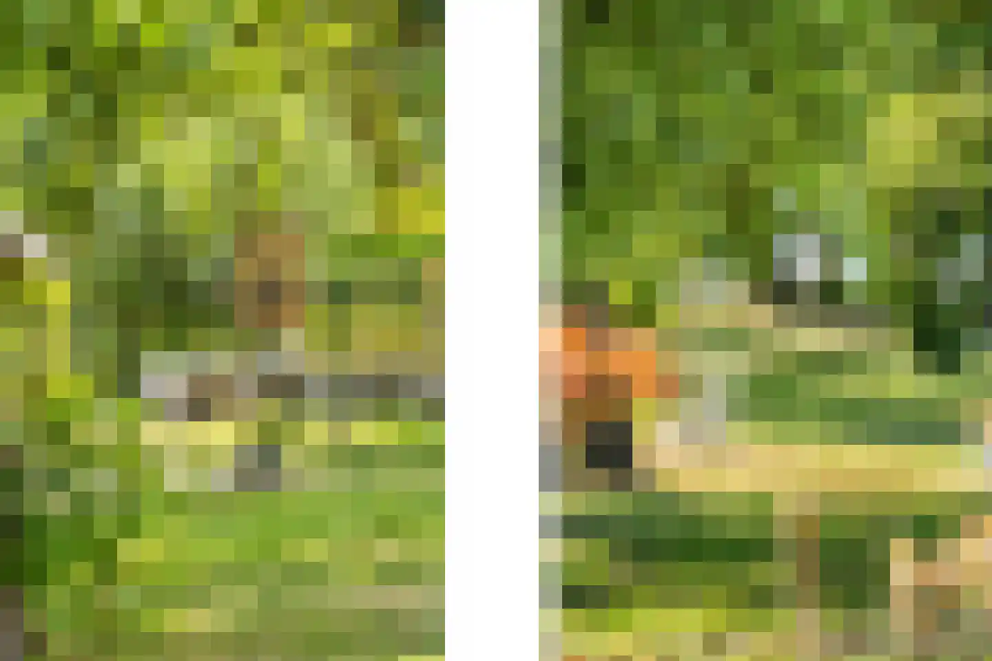 Nieuw Rockanjesedijk 6 Rockanje thumbnail 40