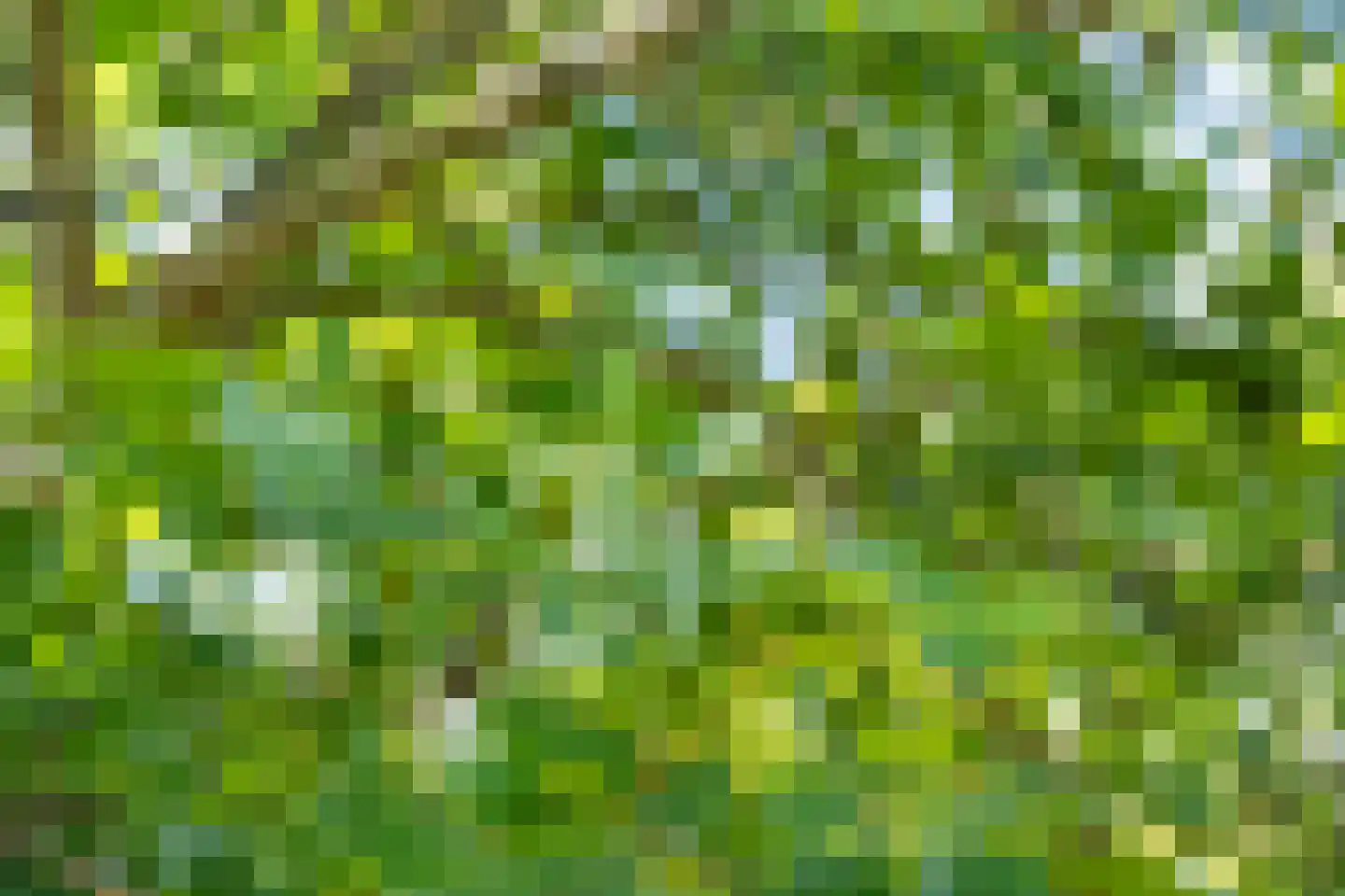 Nieuw Rockanjesedijk 6 Rockanje thumbnail 43