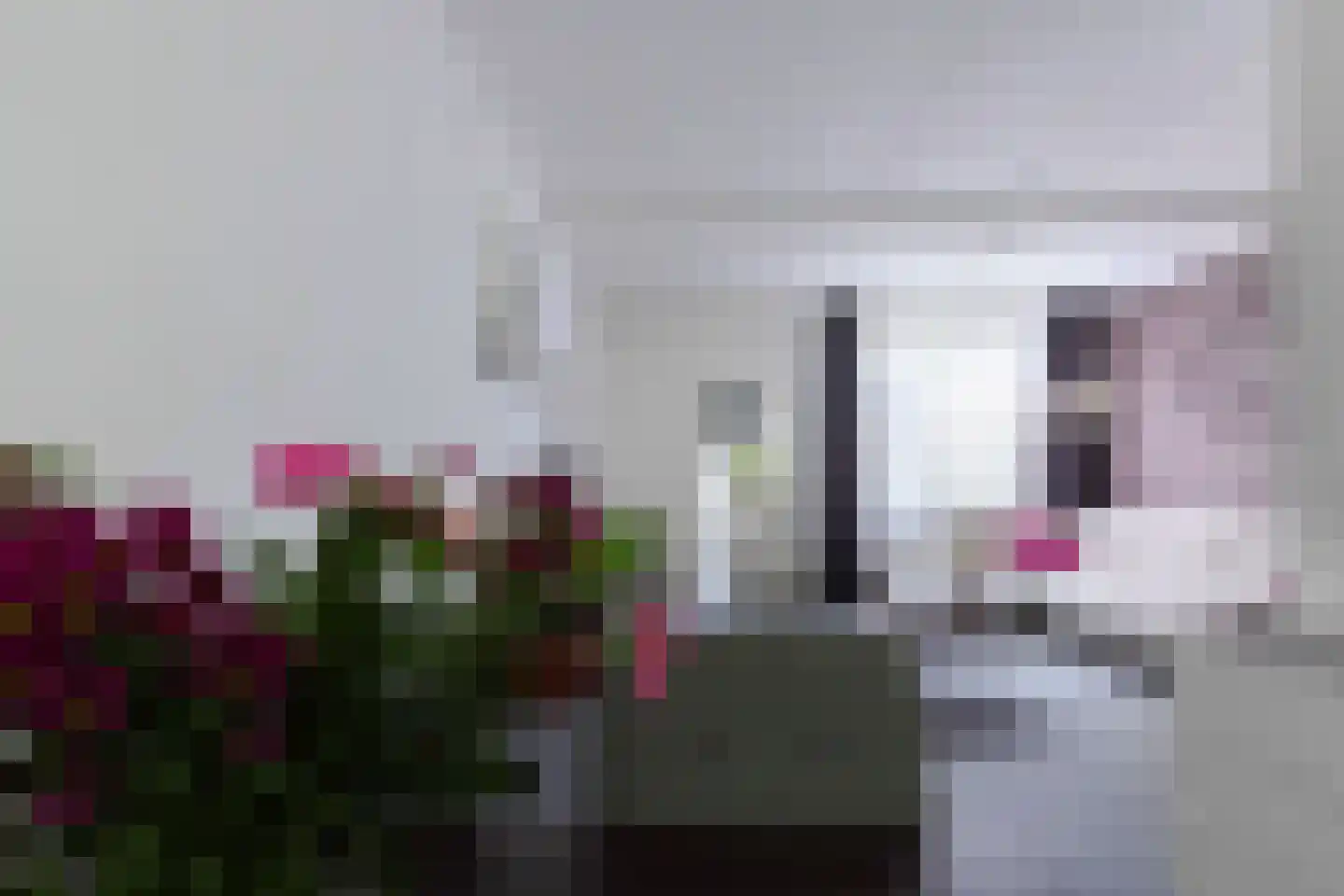 Nieuw-Schandelen 21 Heerlen thumbnail 10