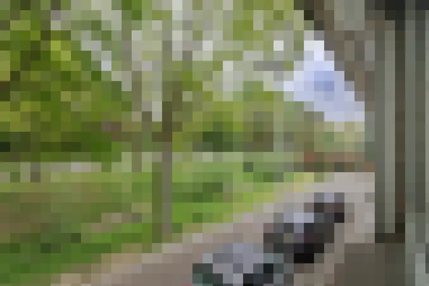 Nieuw-Schandelen 21 Heerlen thumbnail 33