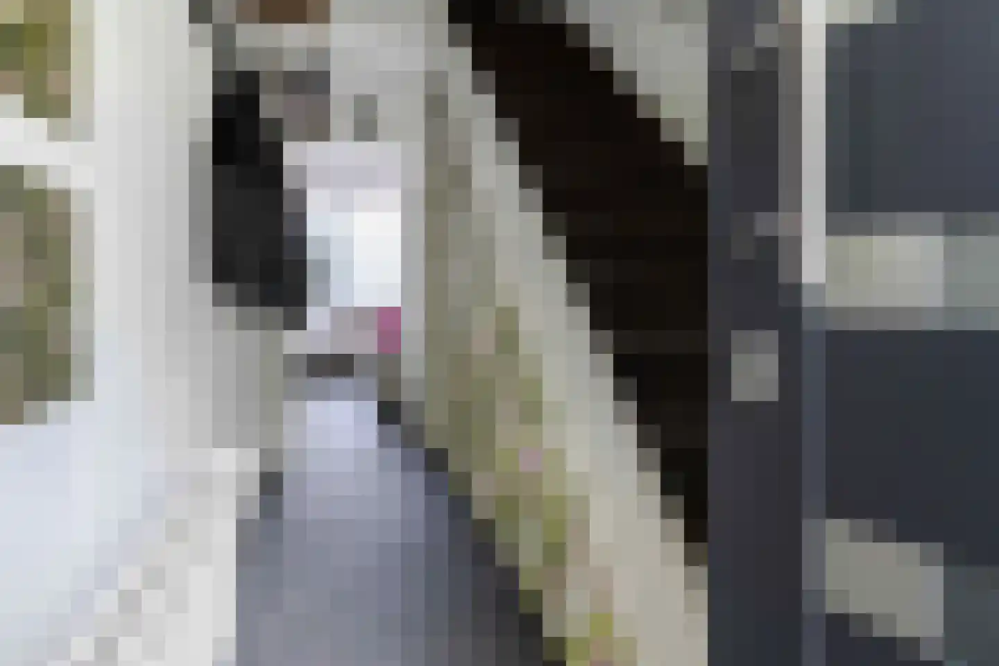 Nieuw-Schandelen 21 Heerlen thumbnail 5