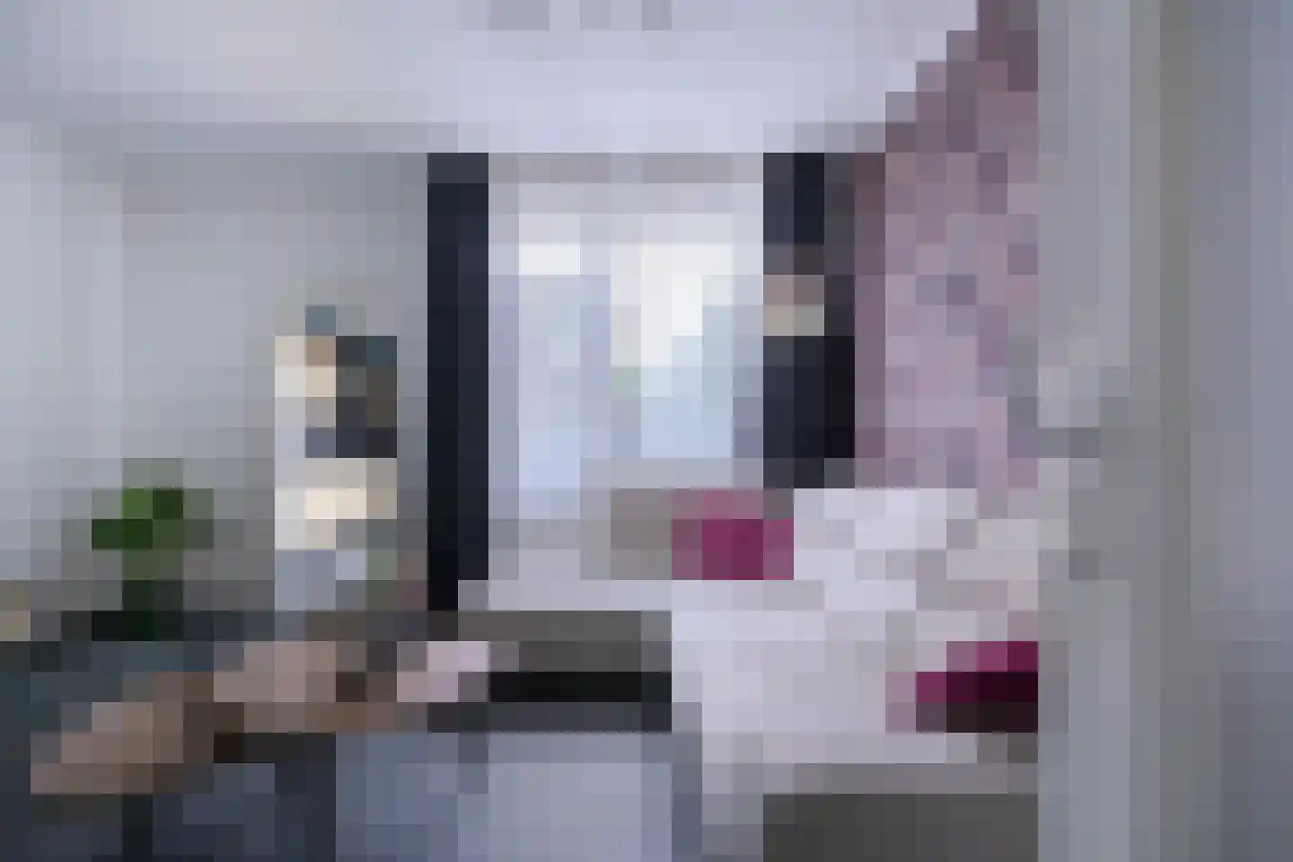 Nieuw-Schandelen 21 Heerlen thumbnail 6