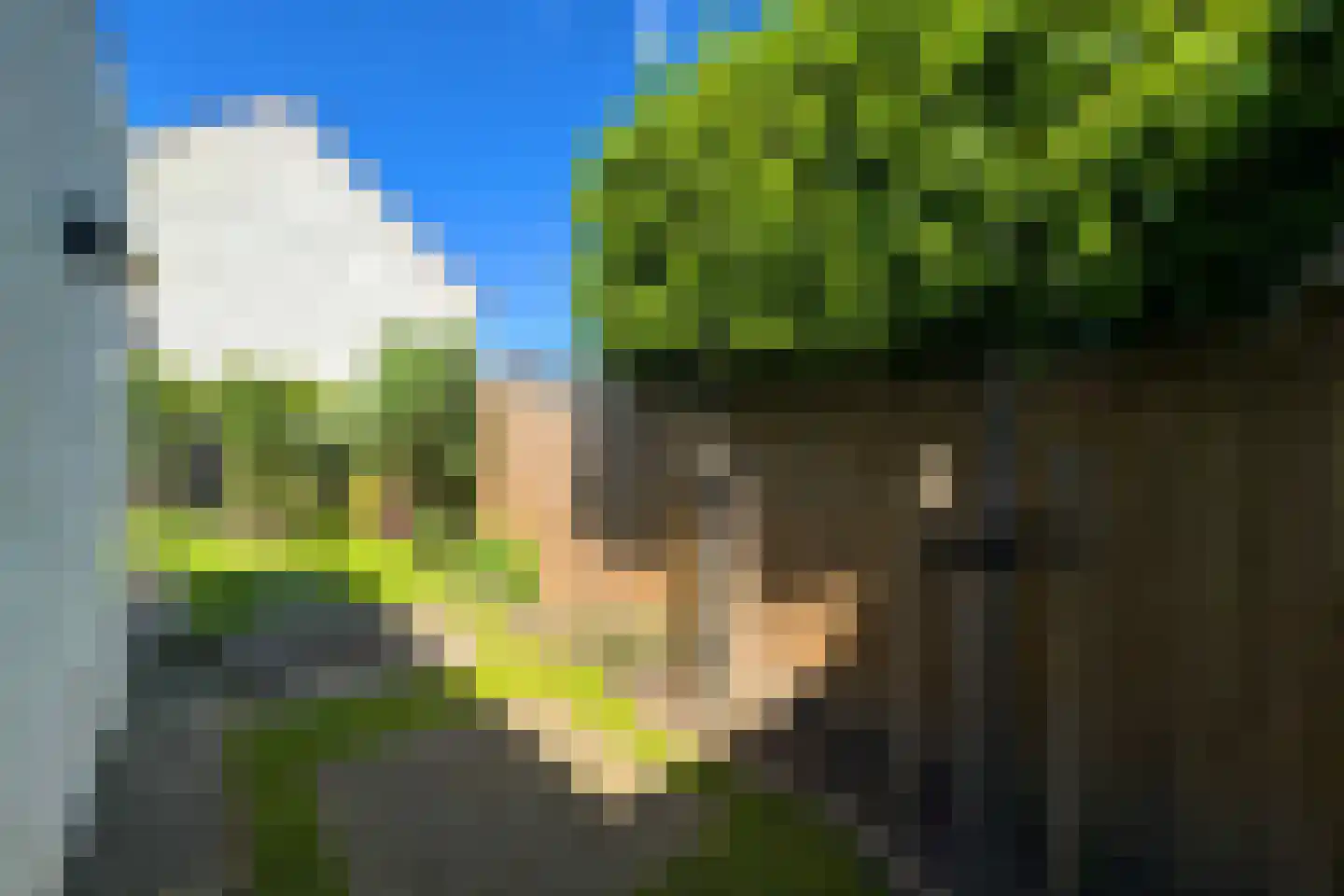 Nieuw-Schandelen 9 Heerlen thumbnail 35