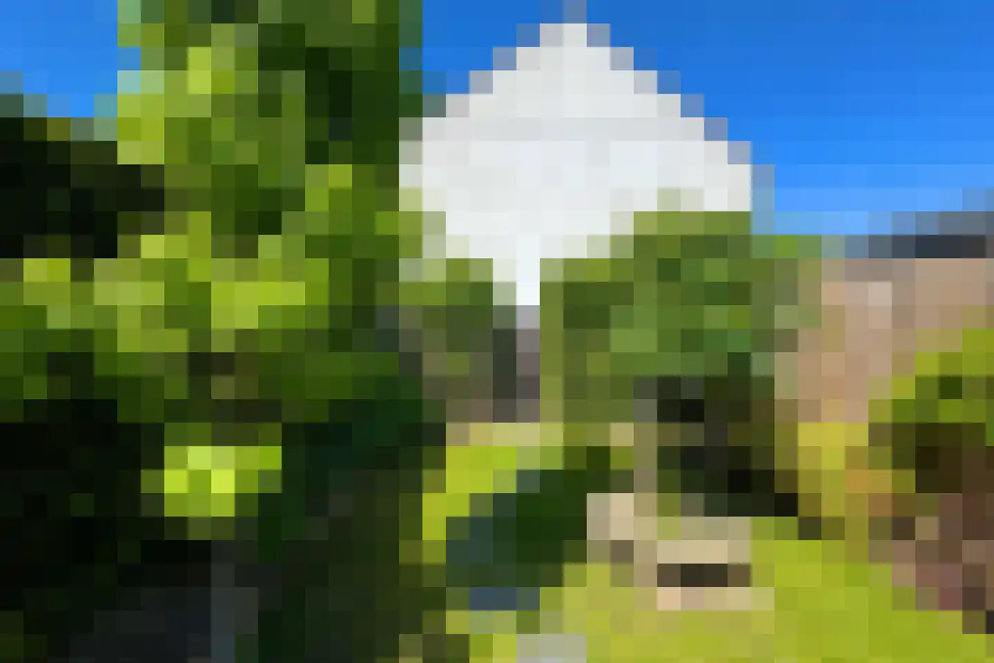 Nieuw-Schandelen 9 Heerlen thumbnail 39