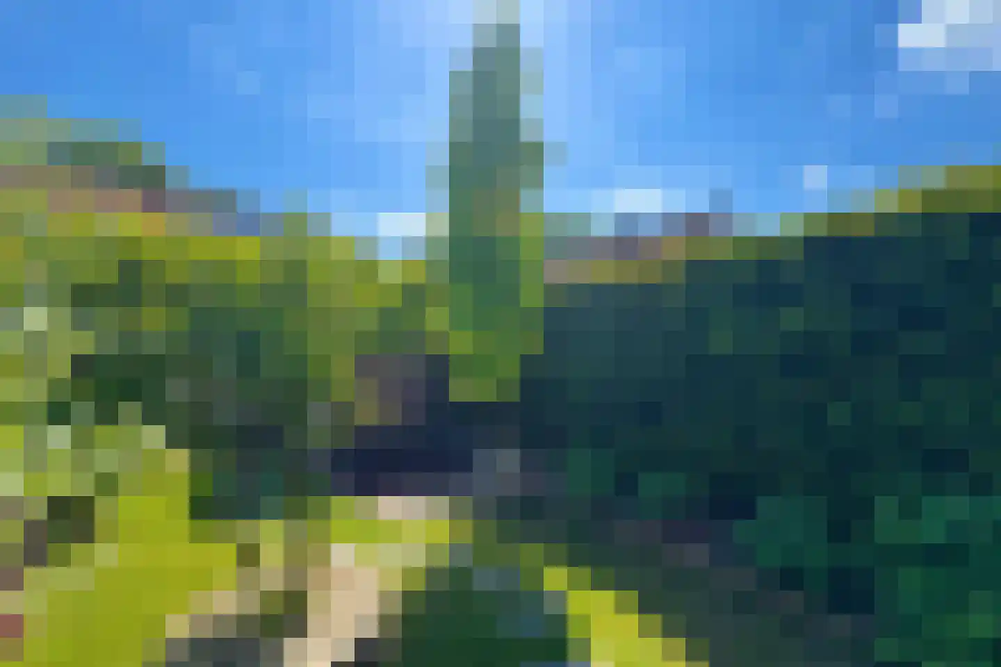 Nieuw-Schandelen 9 Heerlen thumbnail 41