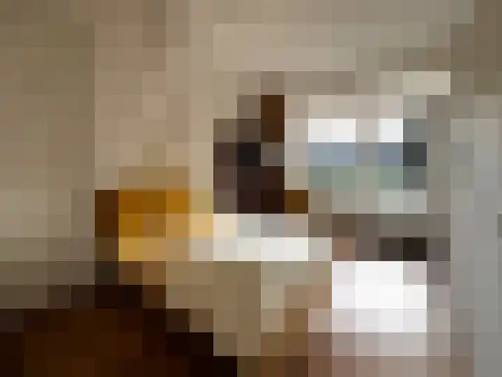 Nieuw-Schoonoord 153 Velp thumbnail 20