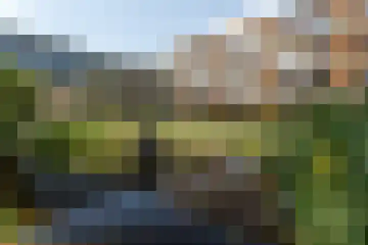Nieuw-Schoonoord 153 Velp thumbnail 27