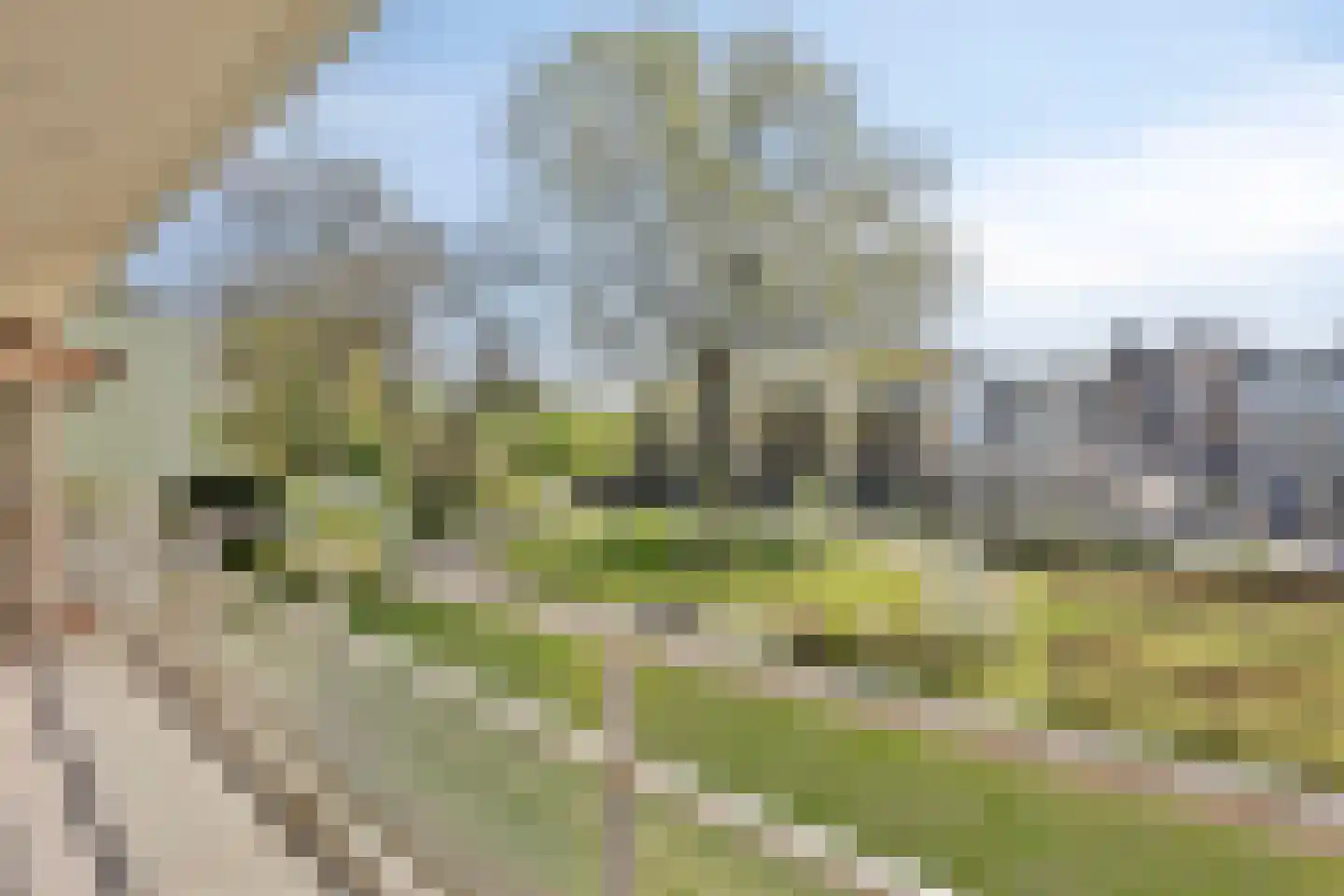 Nieuw-Schoonoord 160 Velp thumbnail 32