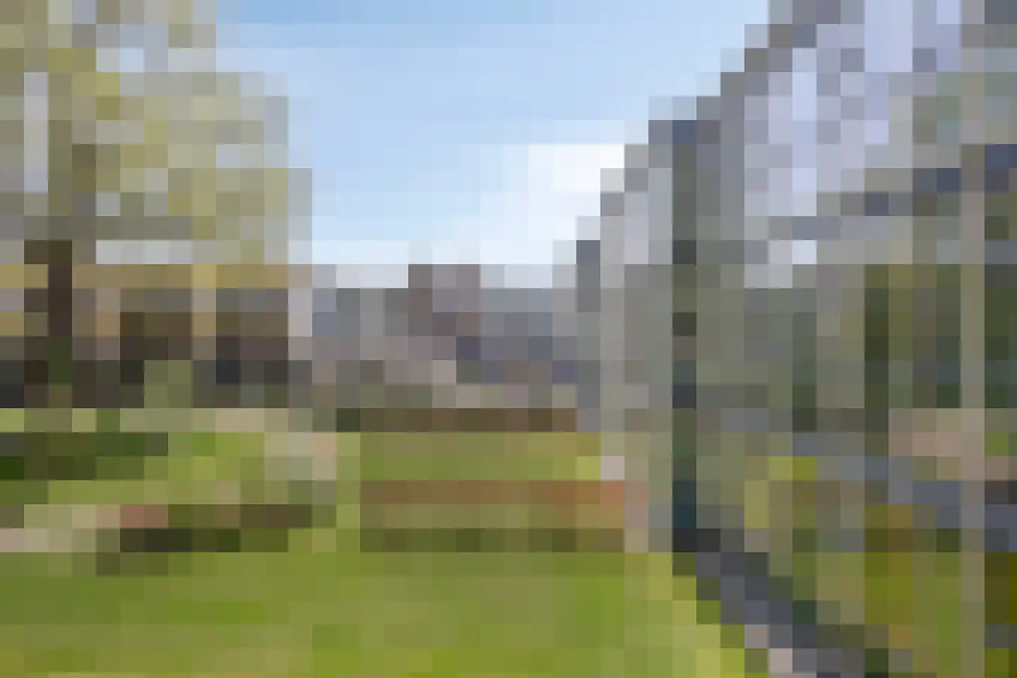 Nieuw-Schoonoord 160 Velp thumbnail 34