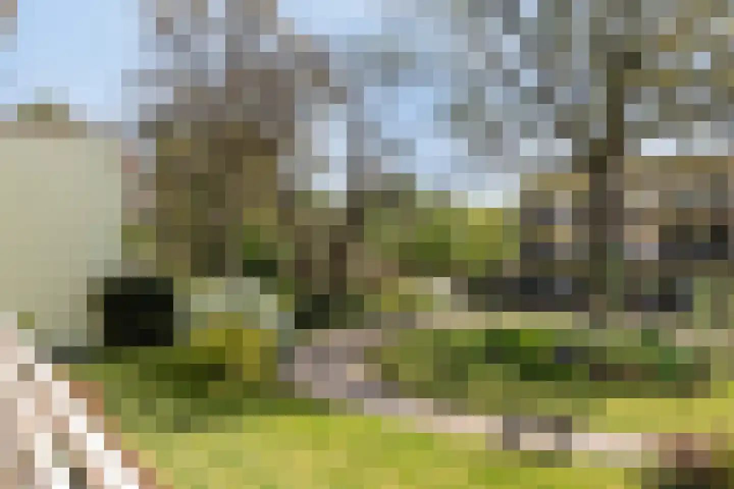 Nieuw-Schoonoord 160 Velp thumbnail 41