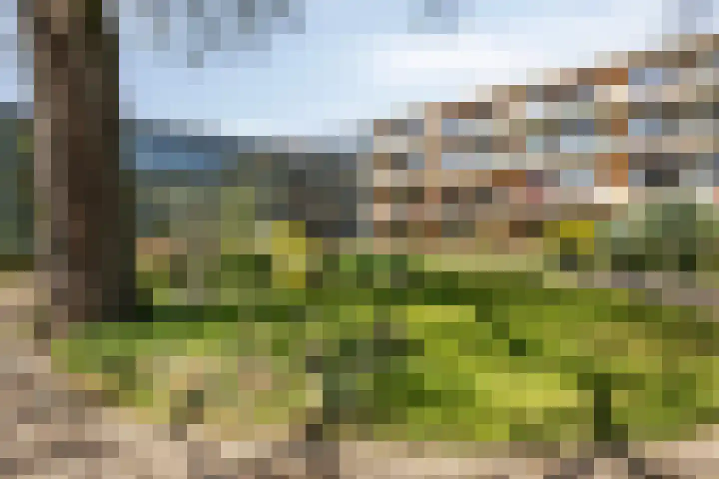 Nieuw-Schoonoord 160 Velp thumbnail 42