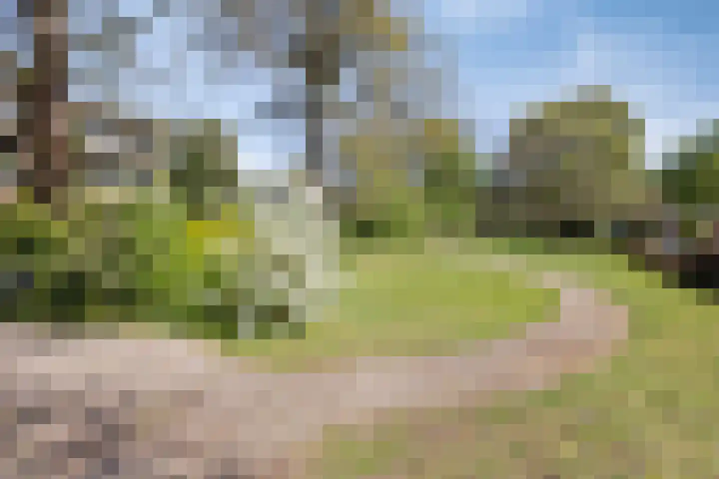 Nieuw-Schoonoord 160 Velp thumbnail 43