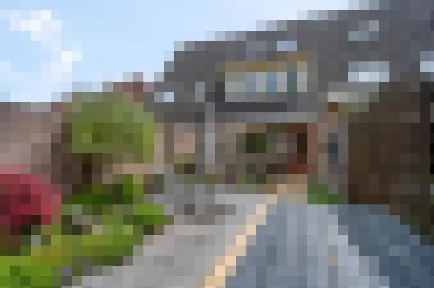 Nieuw-Schoonoord 172 Velp thumbnail 16