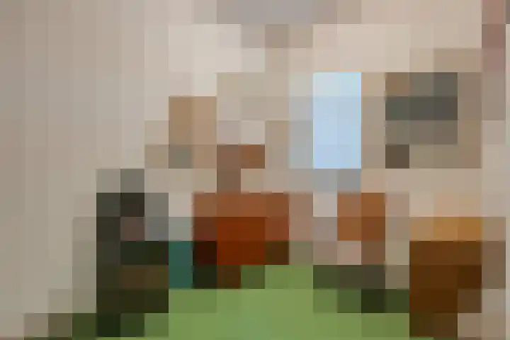 Nieuw-Schoonoord 172 Velp thumbnail 22