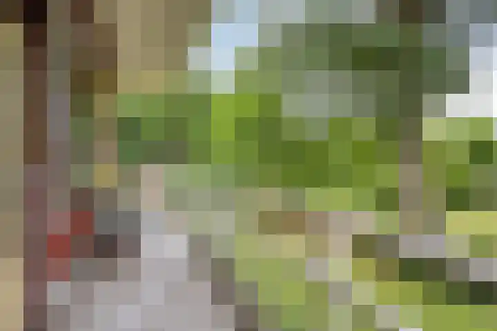 Nieuw-Schoonoord 172 Velp thumbnail 23