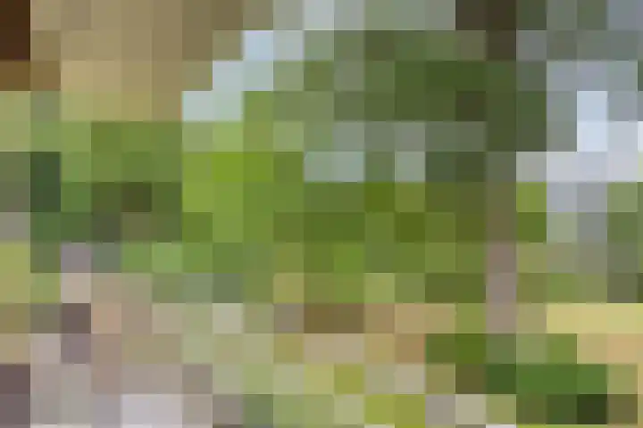 Nieuw-Schoonoord 172 Velp thumbnail 24