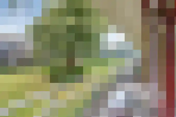 Nieuw-Schoonoord 172 Velp thumbnail 25