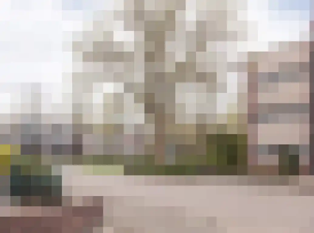 Nieuw-Schoonoord 172 Velp thumbnail 30