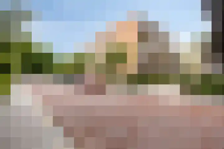 Nieuw-Schoonoord 172 Velp thumbnail 32