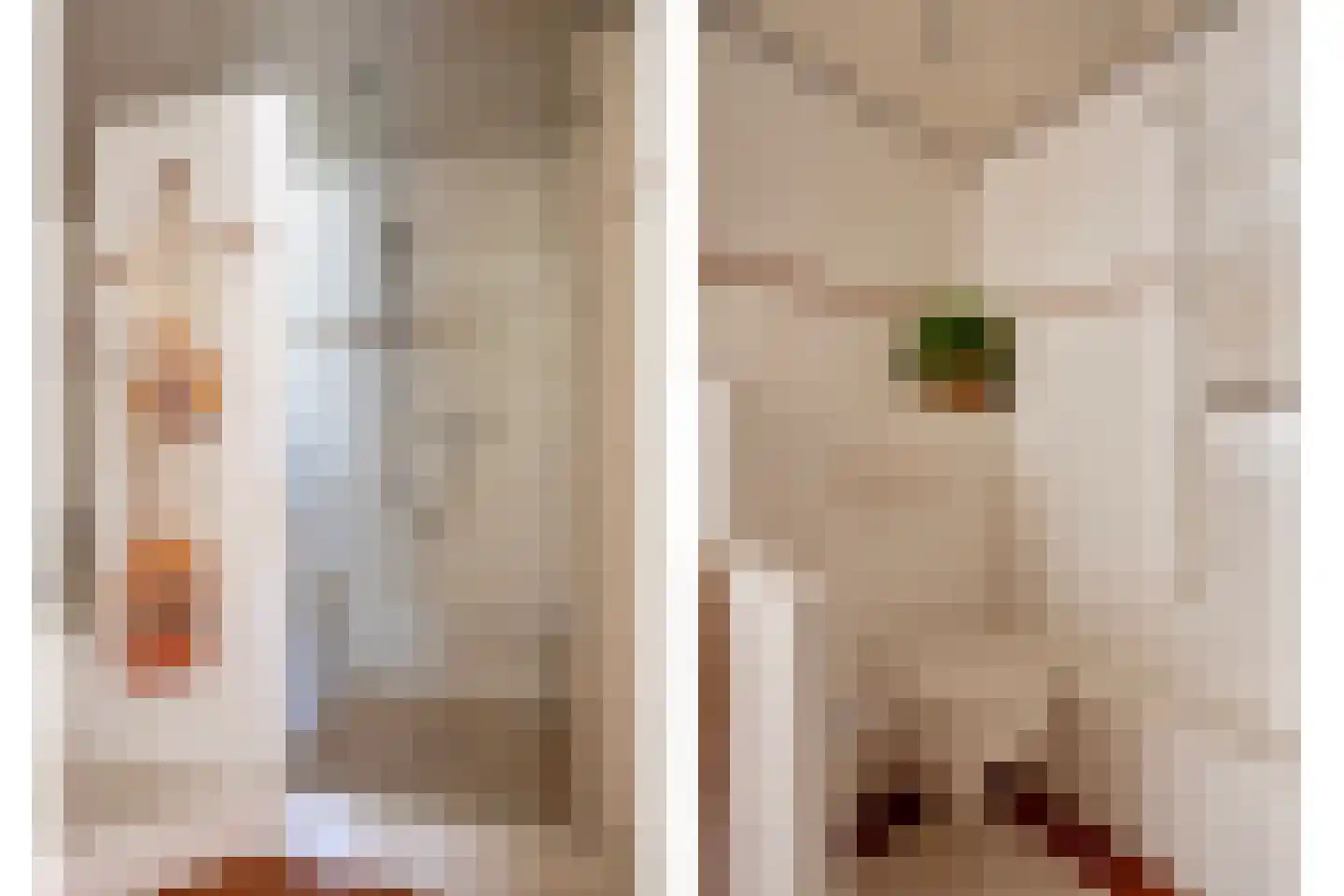 Nieuw-Schoonoord 172 Velp thumbnail 34