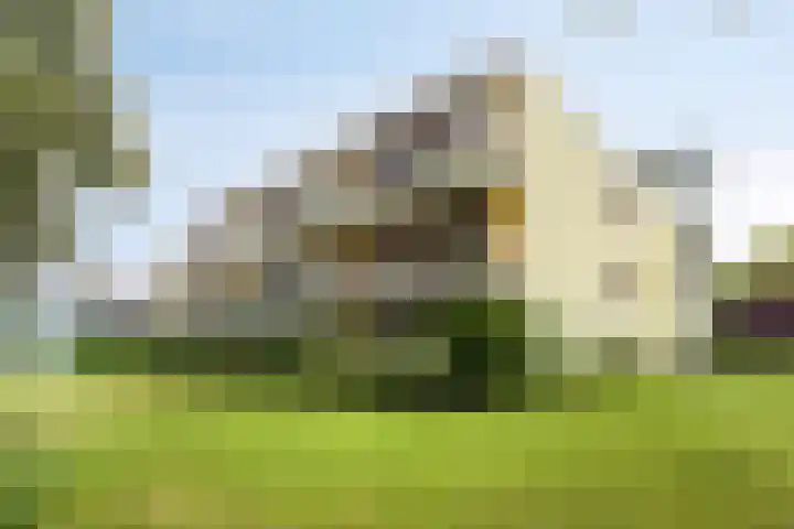 Nieuw-Schoonoord 172 Velp thumbnail 35