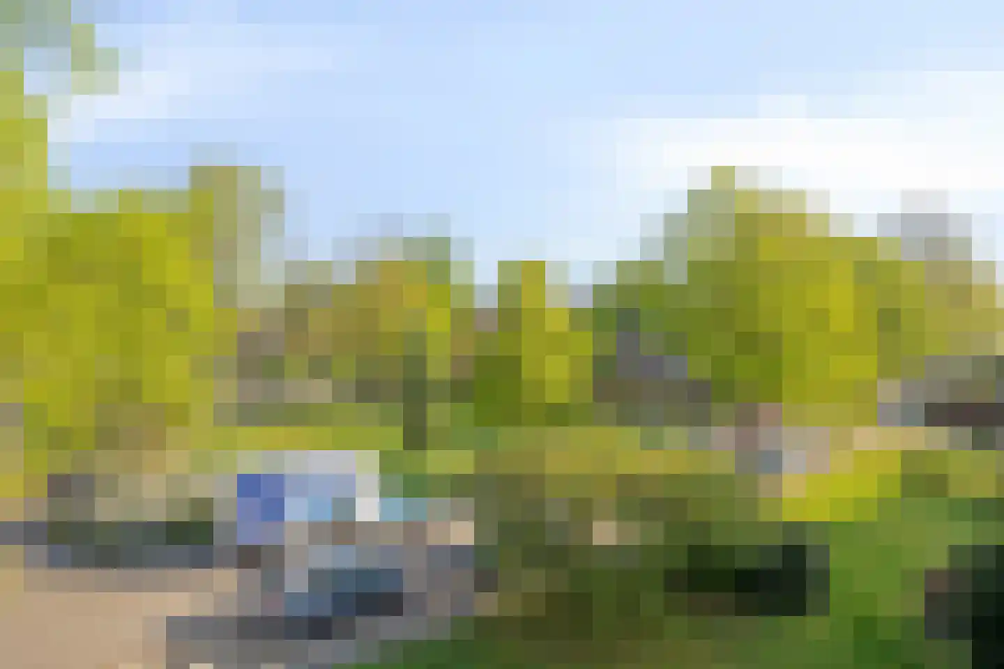 Nieuw-Schoonoord 263 Velp thumbnail 30