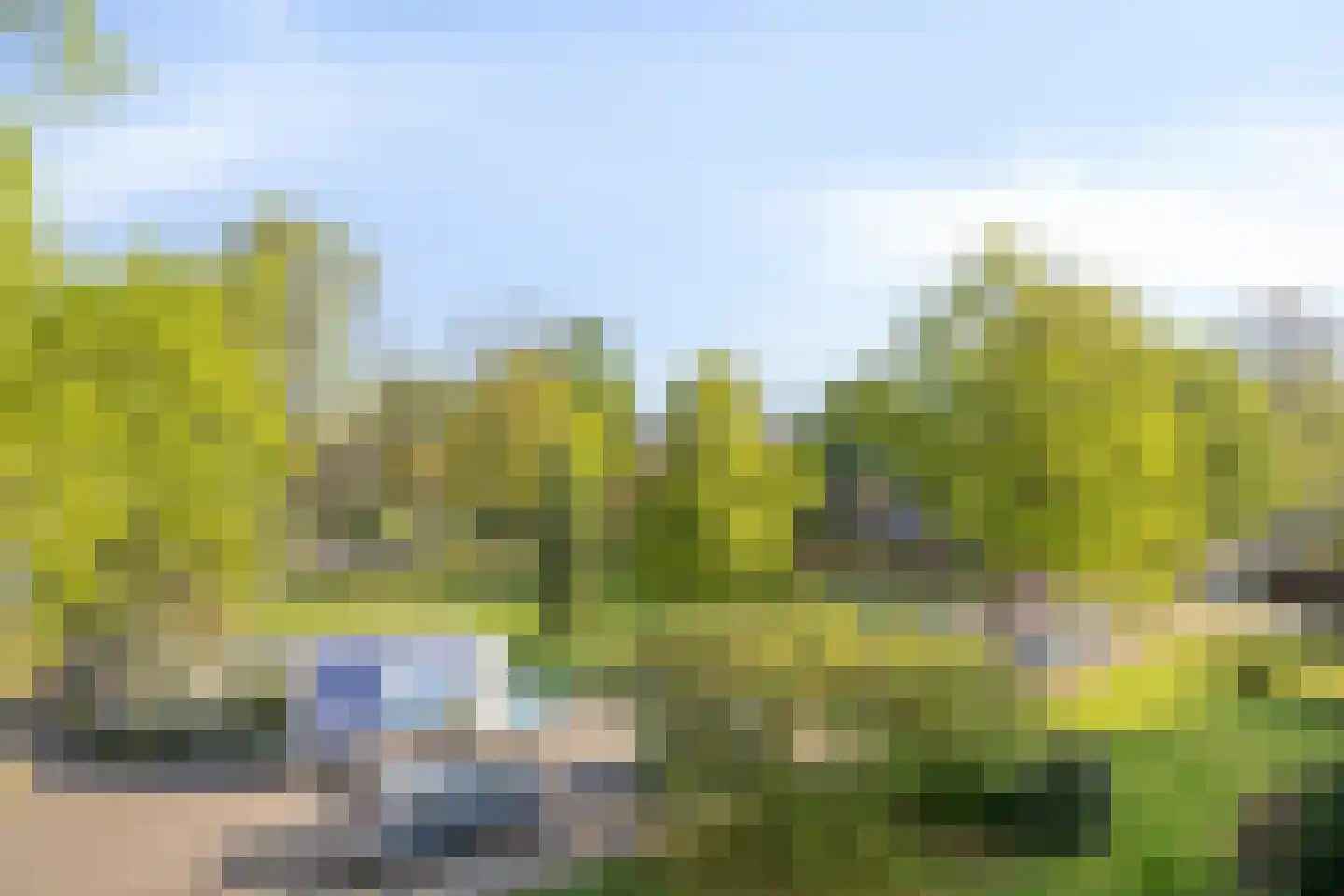 Nieuw-Schoonoord 263 Velp thumbnail 31