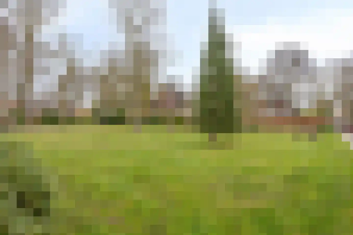 Nieuw-Schoonoord 263 Velp thumbnail 32