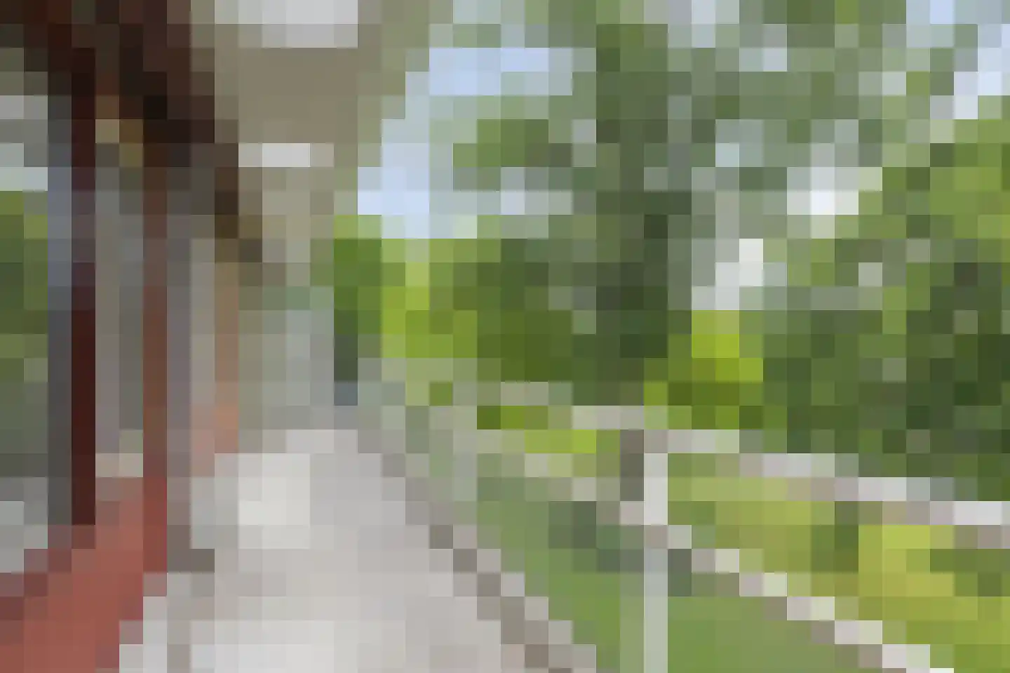 Nieuw-Schoonoord 270 Velp thumbnail 20