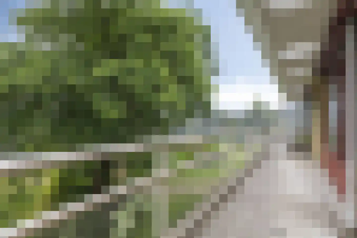 Nieuw-Schoonoord 270 Velp thumbnail 21