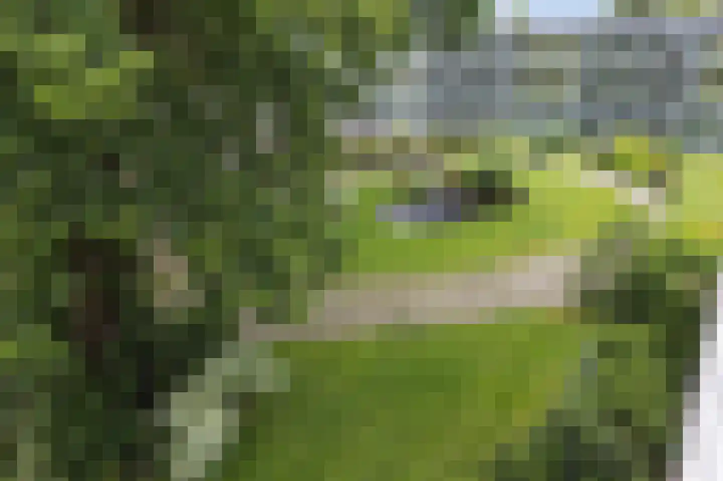Nieuw-Schoonoord 270 Velp thumbnail 22