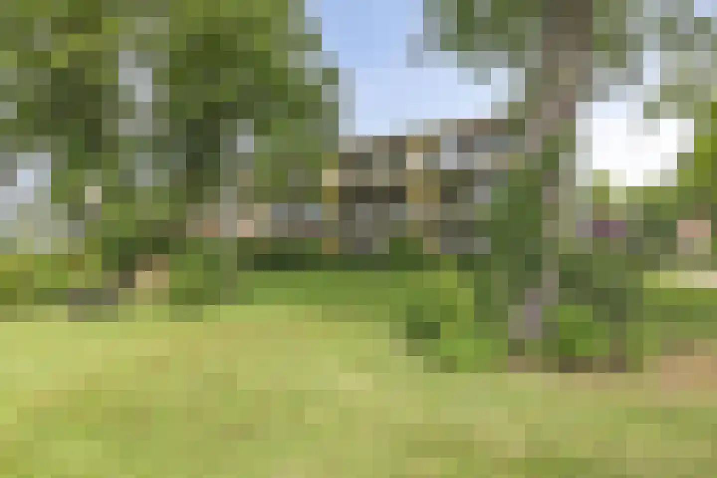 Nieuw-Schoonoord 270 Velp thumbnail 32
