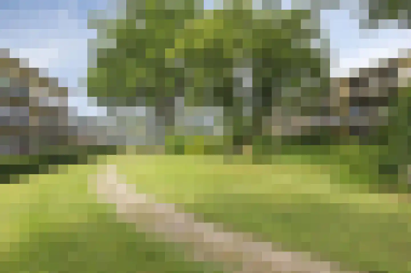Nieuw-Schoonoord 270 Velp thumbnail 33