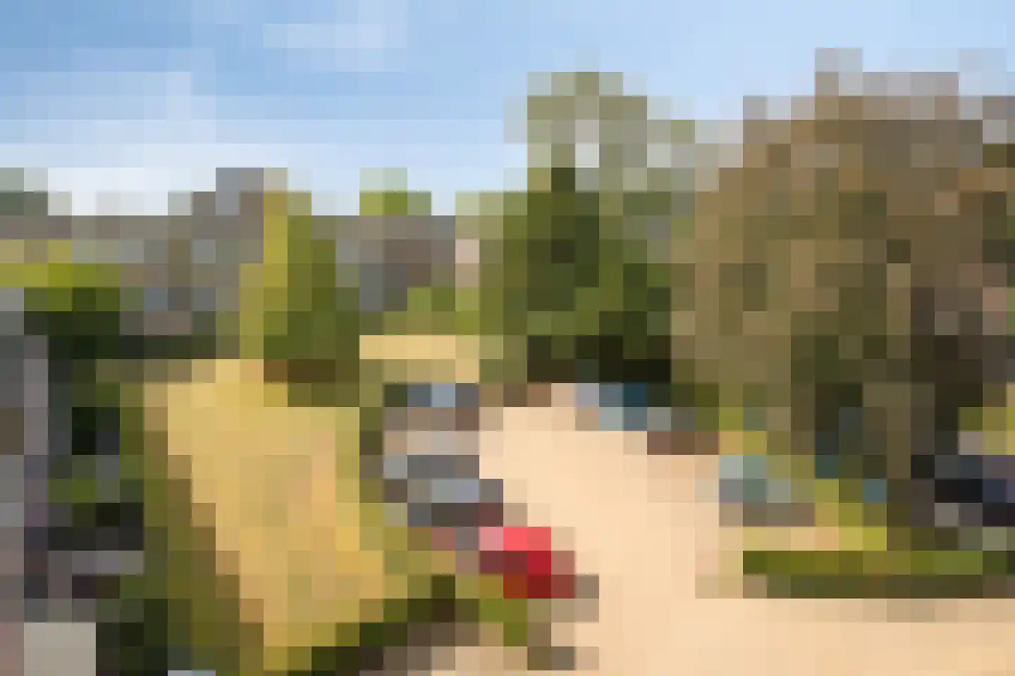Nieuw-Schoonoord 351 Velp thumbnail 26