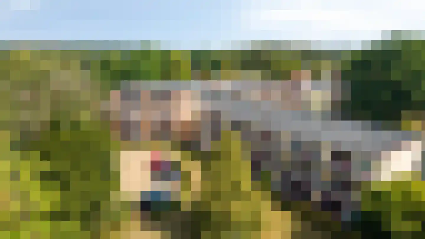 Nieuw-Schoonoord 351 Velp thumbnail 46